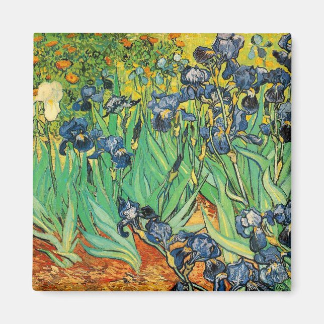 Imã Vicent van Gogh, Íris (Frente)