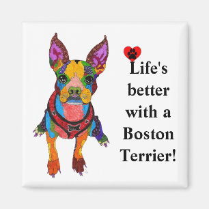 Imã Vida bonito melhor com um ímã de Boston Terrier