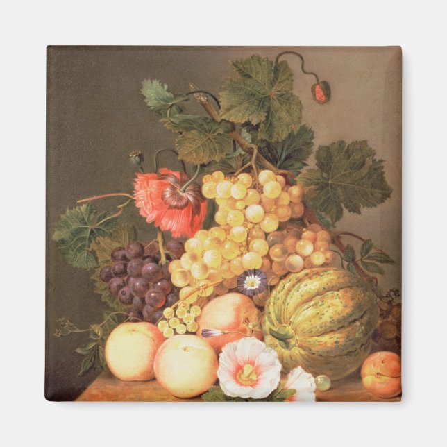 Imã Vida contínua com fruta (Frente)
