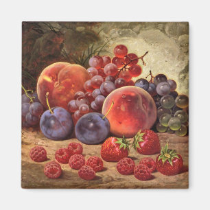 Imã Vida da fruta fresca ainda