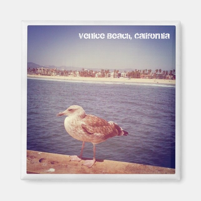 Imã vida de um gaivota (Frente)