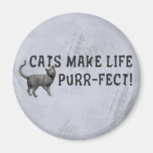Imã Vida do purr-fect