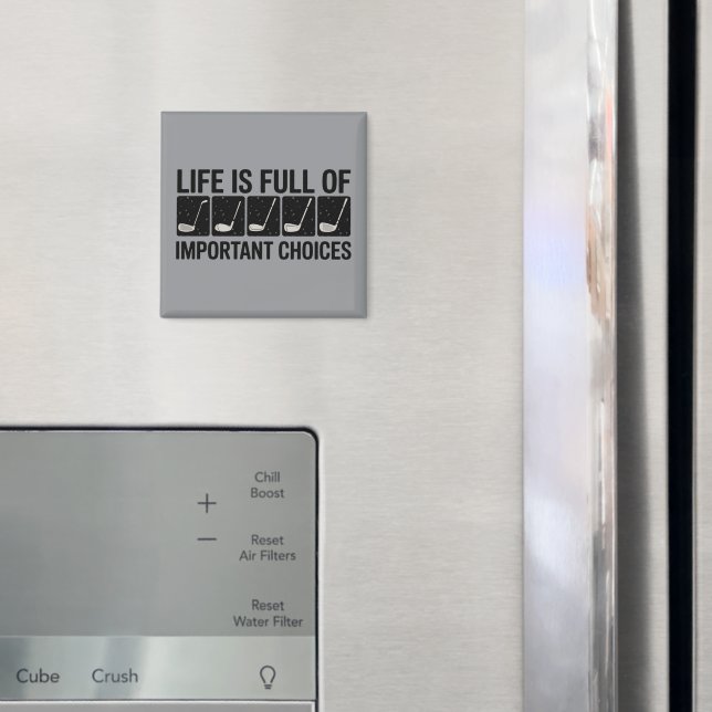 Imã Vida Engraçada Está Cheia De Escolhas Importantes  (In Situ (Fridge))