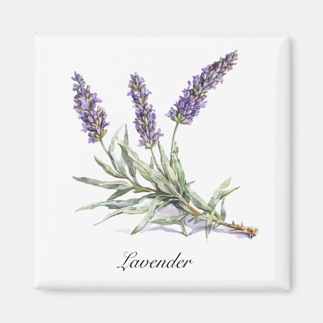 Imã Vida Herbal: Lavanda, personalizável (Frente)