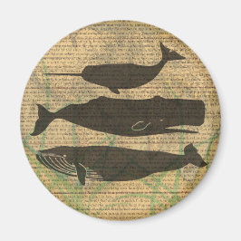 Imã Vida marítima náutica antiaérea de baleia