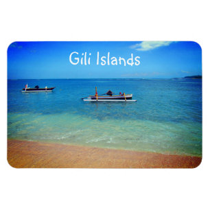 Ímã vida nas ilhas gili