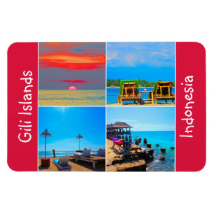 Ímã vida nas ilhas gili