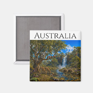 Imã Vida Selvagem da Austrália Equidnas