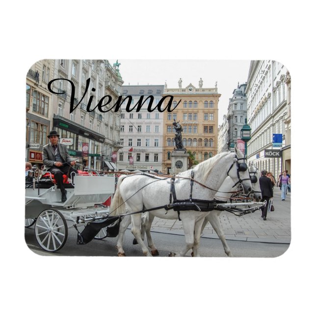 Ímã Viena Áustria (Horizontal)