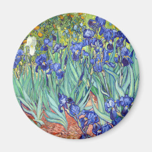 Imã Vincent van Gogh 1889 íris