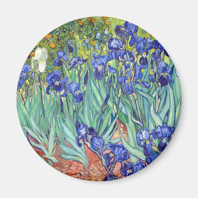 Imã Vincent van Gogh 1889 irrises (Frente)