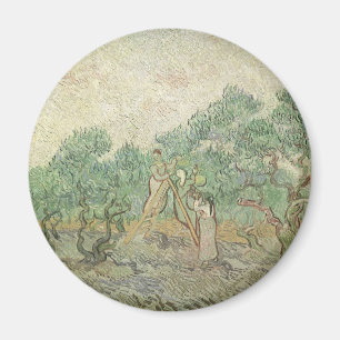 Imã Vincent van Gogh - Colheita de Oliveiras