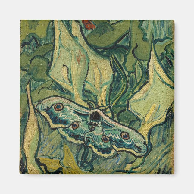 Imã Vincent van Gogh - Giant Peacock Moth (Frente)