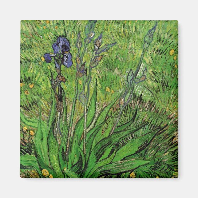 Imã Vincent van Gogh - Iris (Frente)