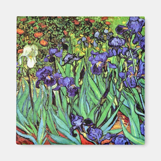 Imã Vincent Van Gogh - Íris - Amante de Flores Arte Fi (Frente)