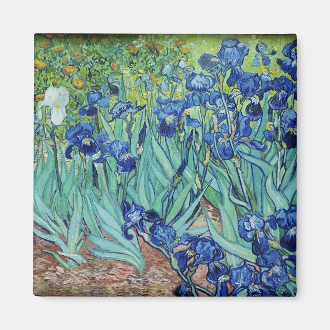Imã Vincent van Gogh Irises (Frente)