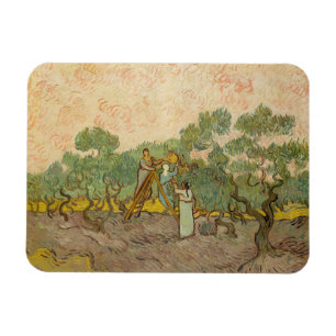 Ímã Vincent van Gogh - Mulheres Colhendo Azeitonas