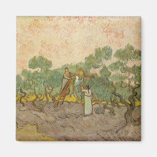 Imã Vincent van Gogh - Mulheres Colhendo Azeitonas