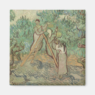 Imã Vincent van Gogh o pomar verde-oliva