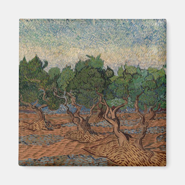 Imã Vincent van Gogh - Olival (Frente)