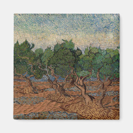 Imã Vincent van Gogh - Olive Grove
