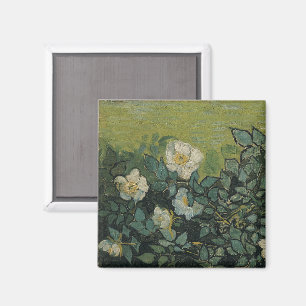 Imã Vincent van Gogh - Rosas Silvestres