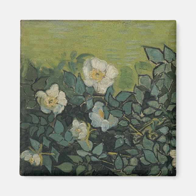 Imã Vincent van Gogh - Rosas Silvestres (Frente)