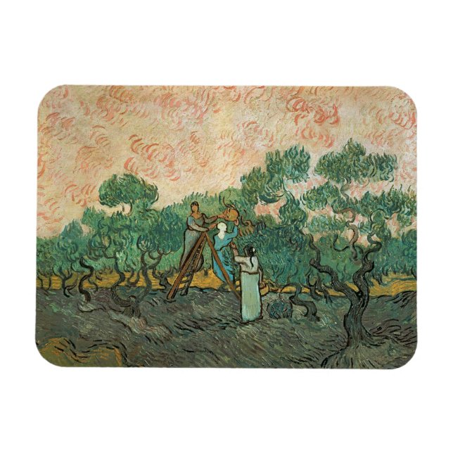 Ímã Vincent van Gogh | Seletor De Oliva, Remessa De Sa (Horizontal)
