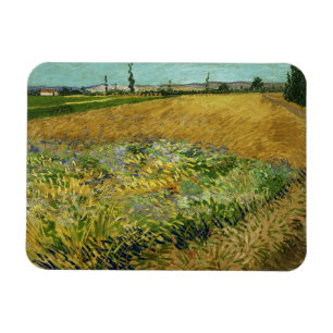 Ímã Vincent Van Gogh, Wheatfield, Korenveld