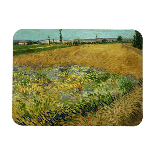 Ímã Vincent Van Gogh, Wheatfield, Korenveld (Horizontal)