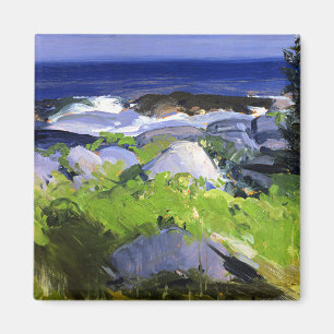Imã Vine Clad Shore, Ilha Monhegan, Maine, belas artes
