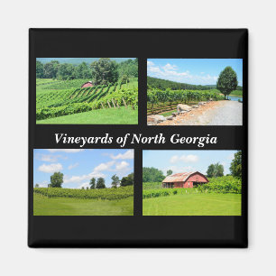 Imã Vineyards do país vitivinícola da Geórgia do No