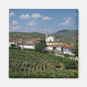 Imã Vineyards, Vila de San Miguel, Douro