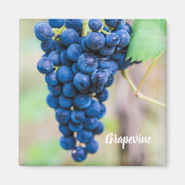Imã Vinha de uva para vinho e para vinho