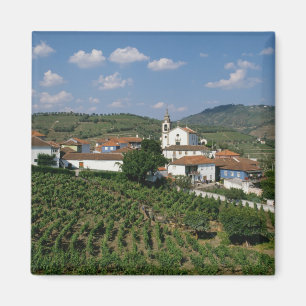 Imã Vinhas, Aldeia de San Miguel, Douro