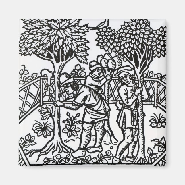 Imã Vinhas Em Tensão (Frente)