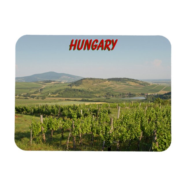 Ímã Vinhas Tokaj, Hungria (Horizontal)