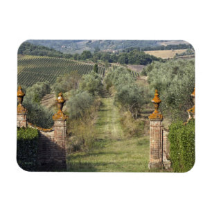 Ímã Vinhas, Toscana, Itália
