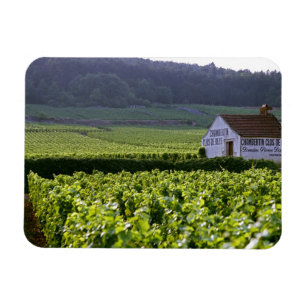 Ímã vinhedo Chambertin Clos de Beze Grand Cru com