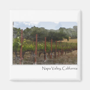 Imã Vinhedo da uva de Napa Valley Califórnia