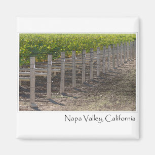 Imã Vinhedo de Napa Valley Califórnia