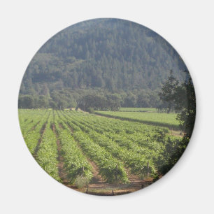Imã Vinhedos de Napa Valley mim