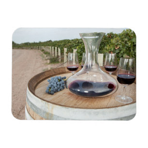 Ímã Vinho tinto no vinhedo