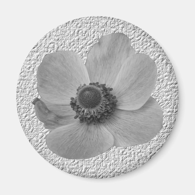 Imã Vintage Anemone Magnet (Frente)