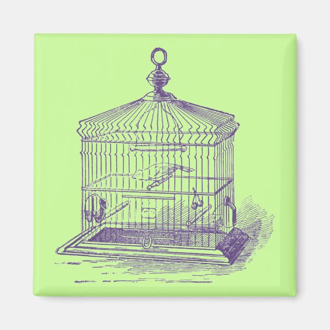 Imã Vintage Bird Cage (Frente)