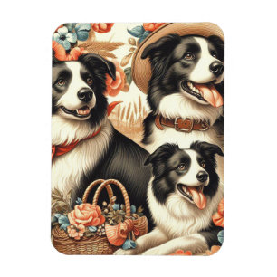 Ímã Vintage Border Collie Painting