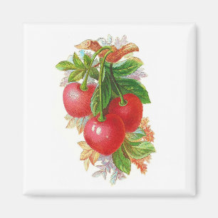 Imã Vintage Cherries