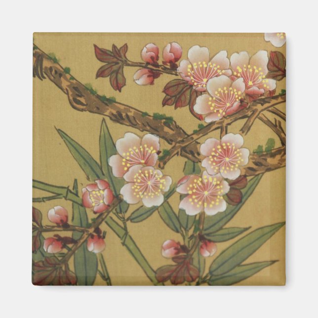 Imã Vintage Cherry Blossoms Asiáticos Flores Japonesas (Frente)