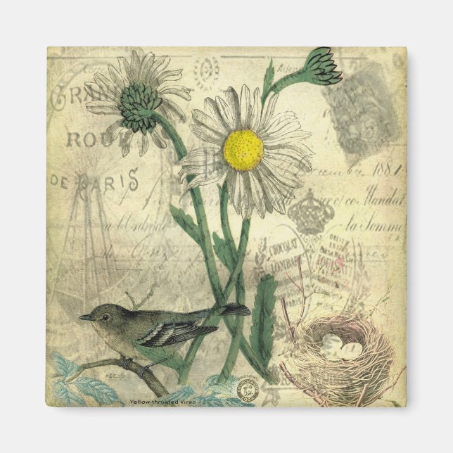 Imã Vintage daisies (Frente)