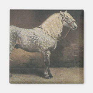 Imã Vintage Dapple Cinza